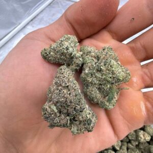 Rainbow runtz (1pound)