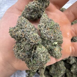 Calyxi sherb (1pound)