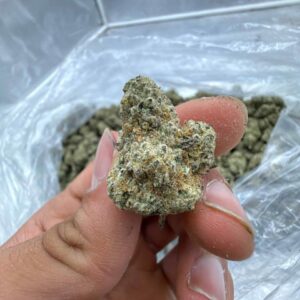 Dante danny (1pound)