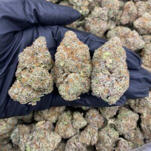 BLACK ICE - INDOOR (1pound)