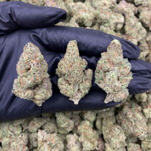 GUMMIE SMACKERZ 🍬💢(1pound)