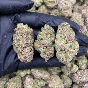 VIOLET SKITTLEZ 😈🍬(1pound)